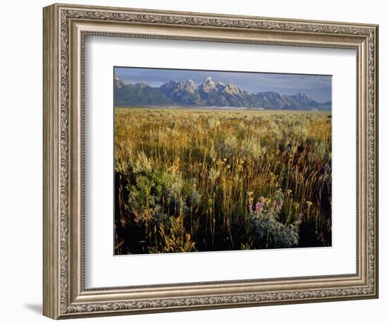 Grand Teton National Park-Scott T. Smith-Framed Photographic Print