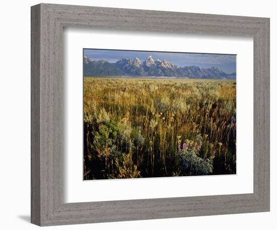 Grand Teton National Park-Scott T. Smith-Framed Photographic Print