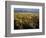 Grand Teton National Park-Scott T. Smith-Framed Photographic Print