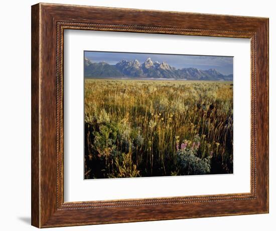 Grand Teton National Park-Scott T. Smith-Framed Photographic Print