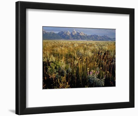 Grand Teton National Park-Scott T. Smith-Framed Photographic Print