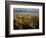 Grand Teton National Park-Scott T. Smith-Framed Photographic Print