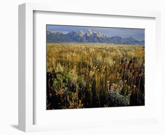 Grand Teton National Park-Scott T. Smith-Framed Photographic Print