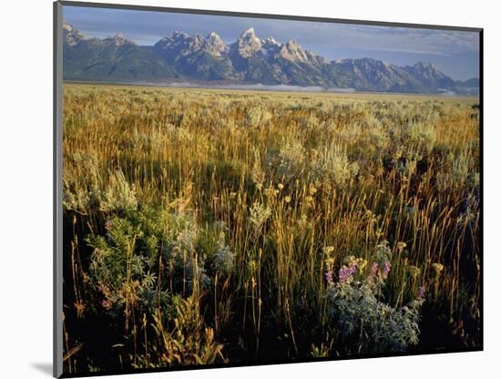 Grand Teton National Park-Scott T. Smith-Mounted Photographic Print