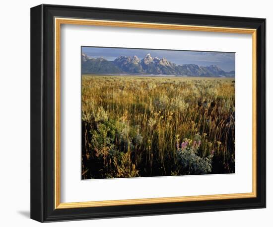 Grand Teton National Park-Scott T. Smith-Framed Photographic Print