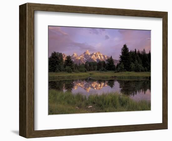 Grand Teton Range and Reflection from Schwabacher Landing, Grand Teton National Park, Wyoming, USA-Jamie & Judy Wild-Framed Photographic Print