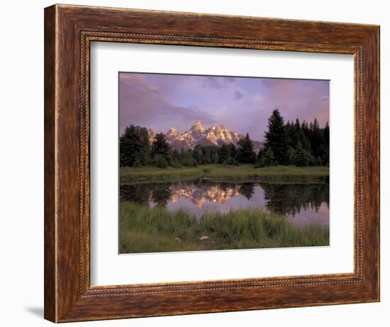 Grand Teton Range and Reflection from Schwabacher Landing, Grand Teton National Park, Wyoming, USA-Jamie & Judy Wild-Framed Photographic Print