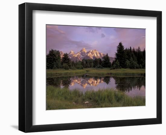 Grand Teton Range and Reflection from Schwabacher Landing, Grand Teton National Park, Wyoming, USA-Jamie & Judy Wild-Framed Photographic Print