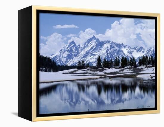 Grand Teton Reflected in Lake-Chris Rogers-Framed Premier Image Canvas