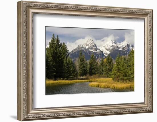 Grand Tetons, from Schwabachers Landing, Grand Teton National Park, Wyoming, USA-Michel Hersen-Framed Photographic Print