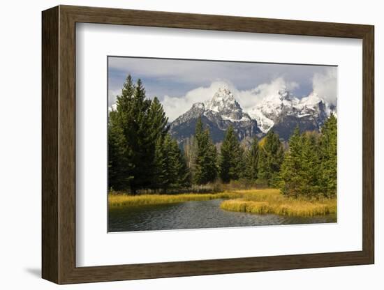 Grand Tetons, from Schwabachers Landing, Grand Teton National Park, Wyoming, USA-Michel Hersen-Framed Photographic Print