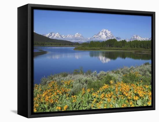 Grand Tetons from the Oxbow, Grand Teton National Park, Wyoming, USA-Michel Hersen-Framed Premier Image Canvas