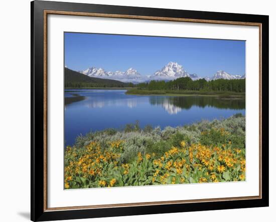 Grand Tetons from the Oxbow, Grand Teton National Park, Wyoming, USA-Michel Hersen-Framed Photographic Print