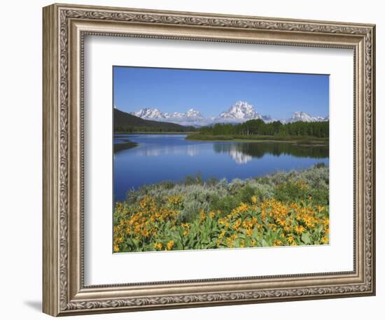 Grand Tetons from the Oxbow, Grand Teton National Park, Wyoming, USA-Michel Hersen-Framed Photographic Print