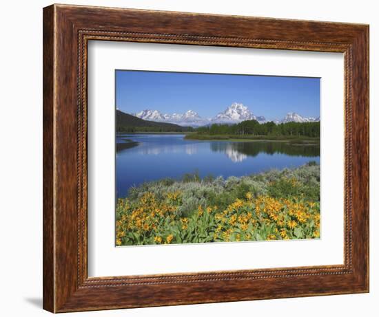 Grand Tetons from the Oxbow, Grand Teton National Park, Wyoming, USA-Michel Hersen-Framed Photographic Print