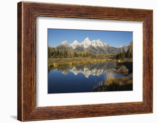 Grand Tetons Reflecting in Beaver Pond-Ken Archer-Framed Photographic Print