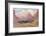 Grand Tetons-null-Framed Giclee Print