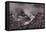 Grand Tetons-Steve Gadomski-Framed Premier Image Canvas