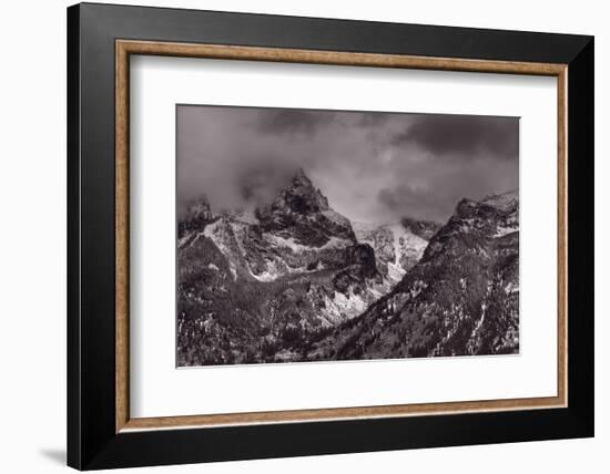 Grand Tetons-Steve Gadomski-Framed Photographic Print