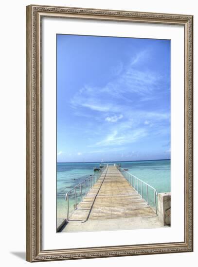 Grand Turk III-George Johnson-Framed Art Print