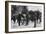 Grand Victory Parade, Paris, France, 14 July 1919-null-Framed Giclee Print