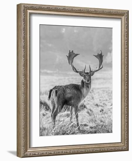 Grand Watchman-Assaf Frank-Framed Giclee Print