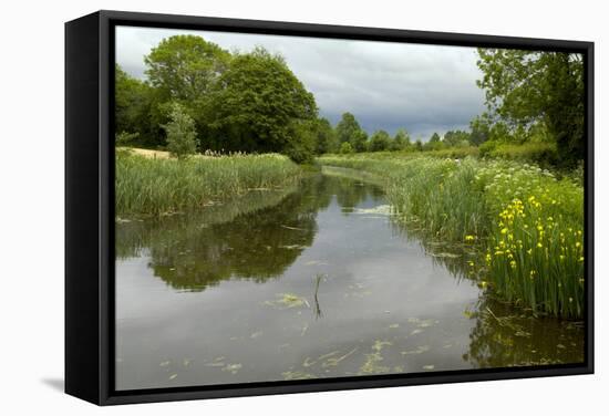 Grand Western Canal, Devon, UK-Dr. Keith Wheeler-Framed Premier Image Canvas