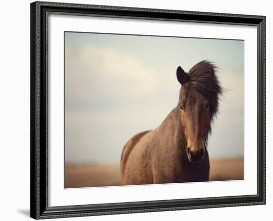 Grand-Irene Suchocki-Framed Giclee Print