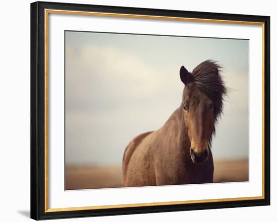 Grand-Irene Suchocki-Framed Giclee Print