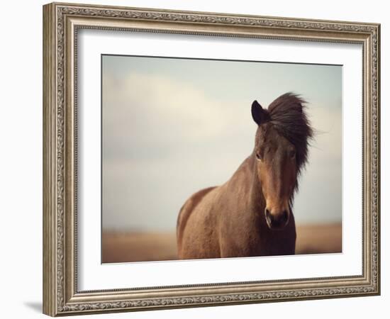 Grand-Irene Suchocki-Framed Giclee Print