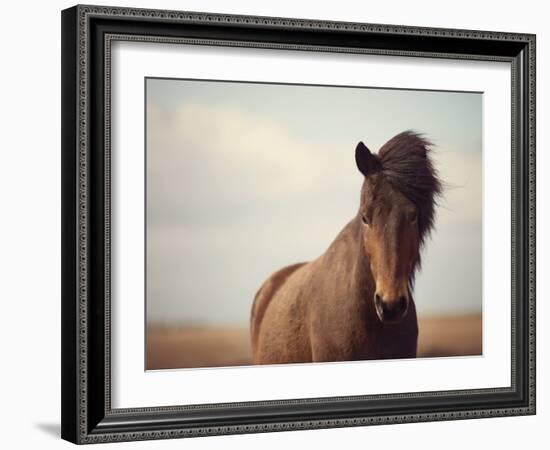 Grand-Irene Suchocki-Framed Giclee Print