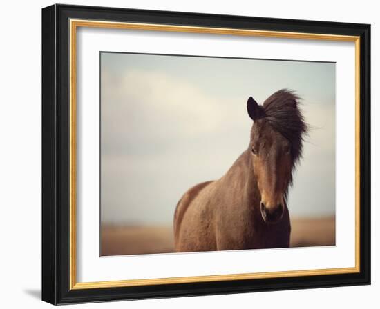 Grand-Irene Suchocki-Framed Giclee Print