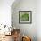 Grande Jatte-Howie Green-Framed Giclee Print displayed on a wall