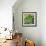 Grande Jatte-Howie Green-Framed Giclee Print displayed on a wall