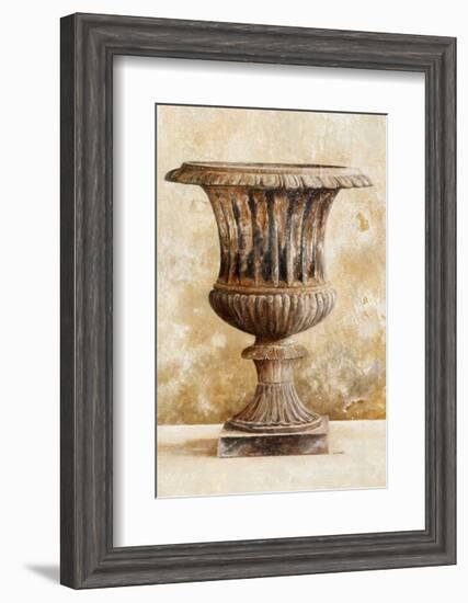 Grande Vasque I-Laurence David-Framed Art Print