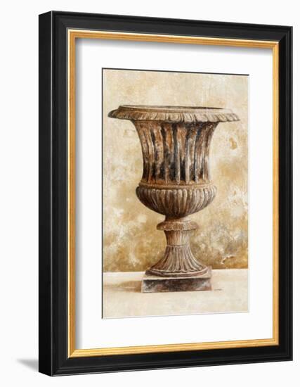 Grande Vasque I-Laurence David-Framed Art Print