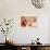 Grandes Salones y Academia de Billar-Antoni Utrillo-Giclee Print displayed on a wall