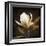 Grandeur-Ily Szilagyi-Framed Giclee Print