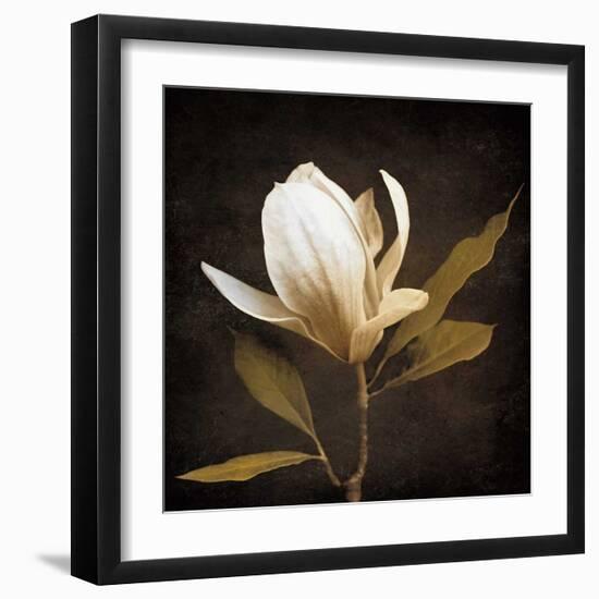 Grandeur-Ily Szilagyi-Framed Giclee Print