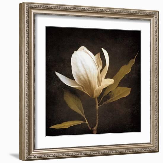 Grandeur-Ily Szilagyi-Framed Giclee Print