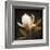 Grandeur-Ily Szilagyi-Framed Giclee Print