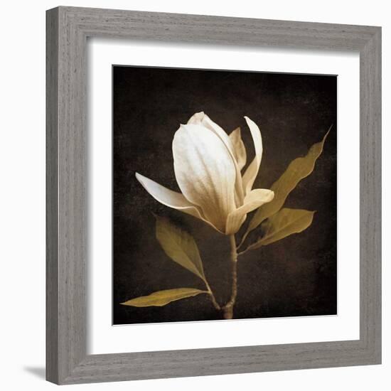 Grandeur-Ily Szilagyi-Framed Giclee Print