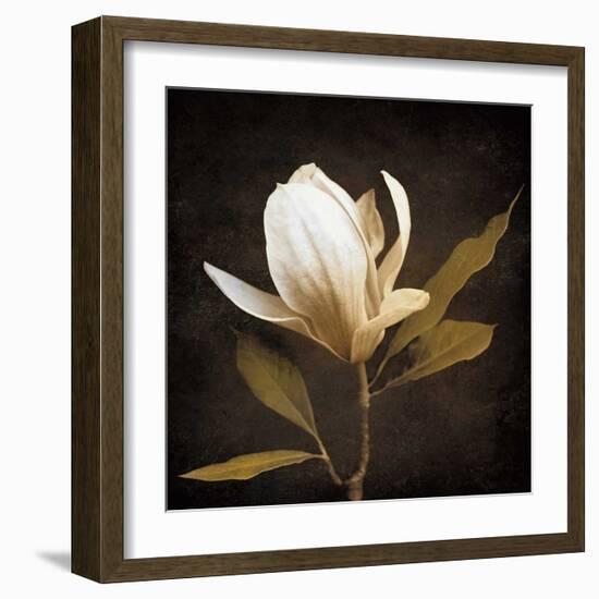 Grandeur-Ily Szilagyi-Framed Giclee Print