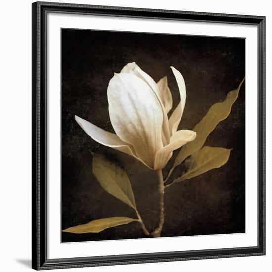 Grandeur-Ily Szilagyi-Framed Art Print