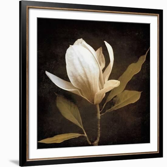 Grandeur-Ily Szilagyi-Framed Art Print