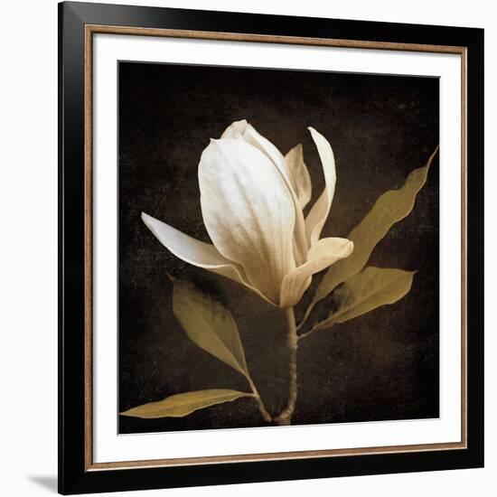 Grandeur-Ily Szilagyi-Framed Art Print