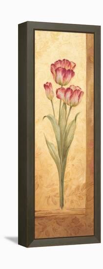 Grandiflora IV-Pamela Gladding-Framed Stretched Canvas