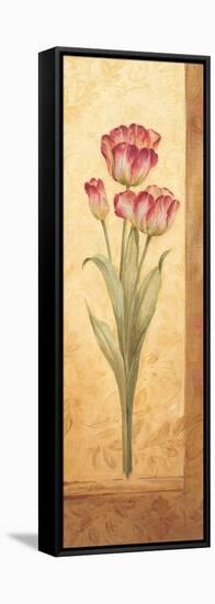 Grandiflora IV-Pamela Gladding-Framed Stretched Canvas