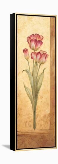 Grandiflora IV-Pamela Gladding-Framed Stretched Canvas