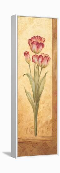 Grandiflora IV-Pamela Gladding-Framed Stretched Canvas